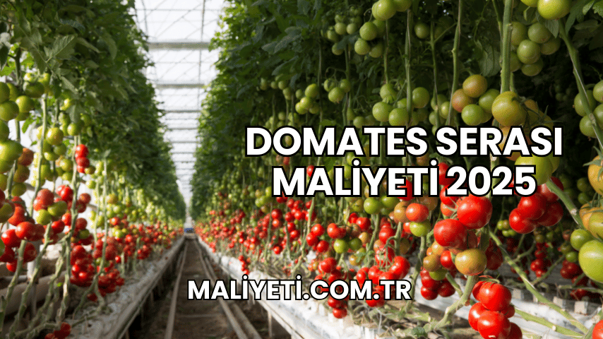 Domates Serası Maliyeti 2025