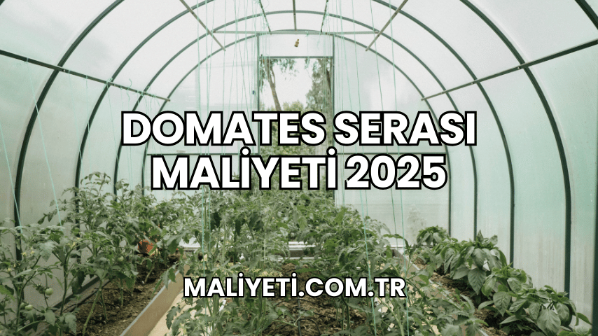 Domates Serası Maliyeti 2025