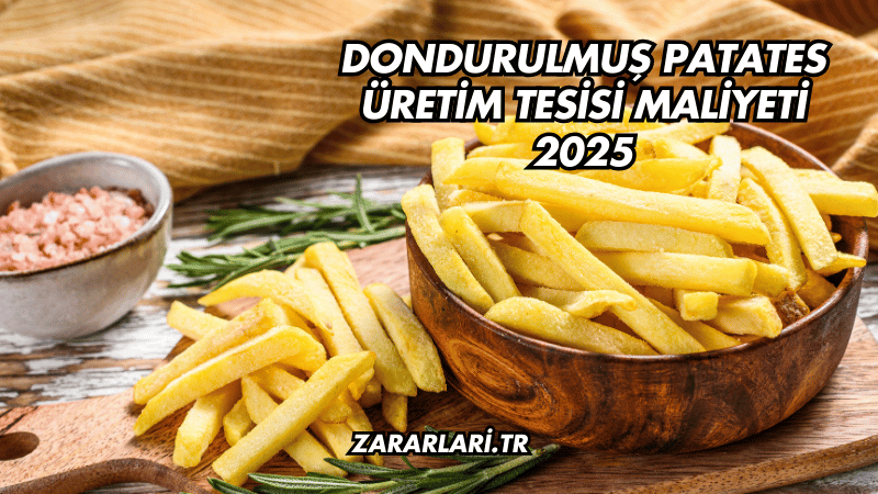 Dondurulmuş Patates Üretim Tesisi Maliyeti 2025