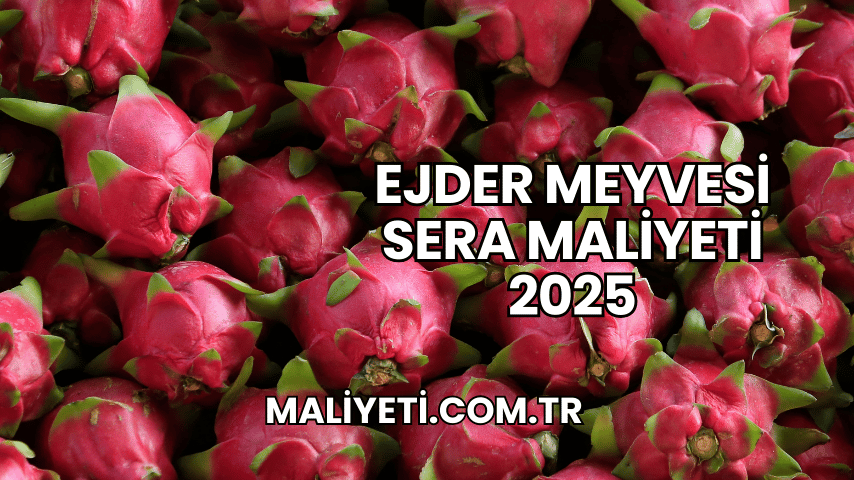 Ejder Meyvesi Sera Maliyeti 2025