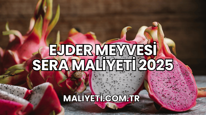 Ejder Meyvesi Sera Maliyeti 2025