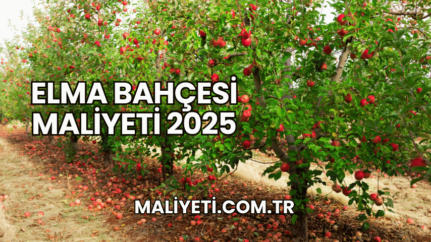 Elma Bahçesi Maliyeti 2025