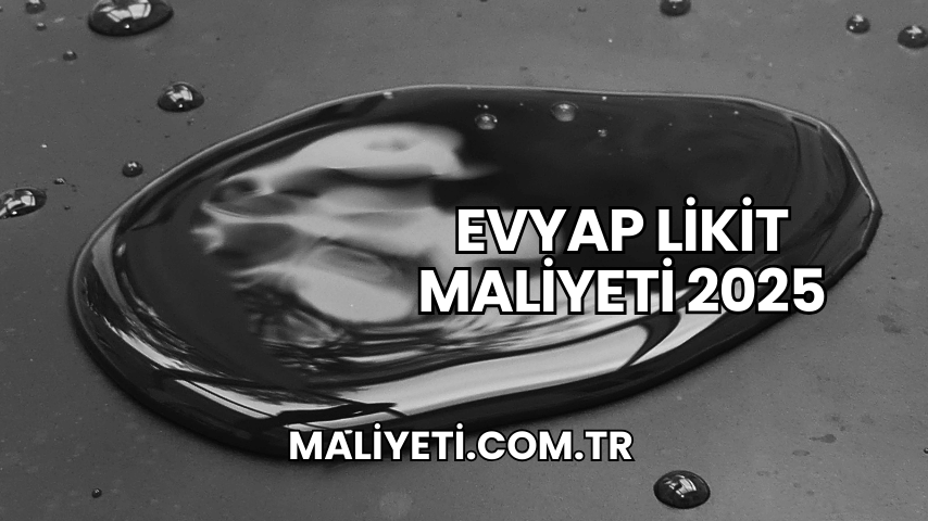 Evyap Likit Maliyeti 2025