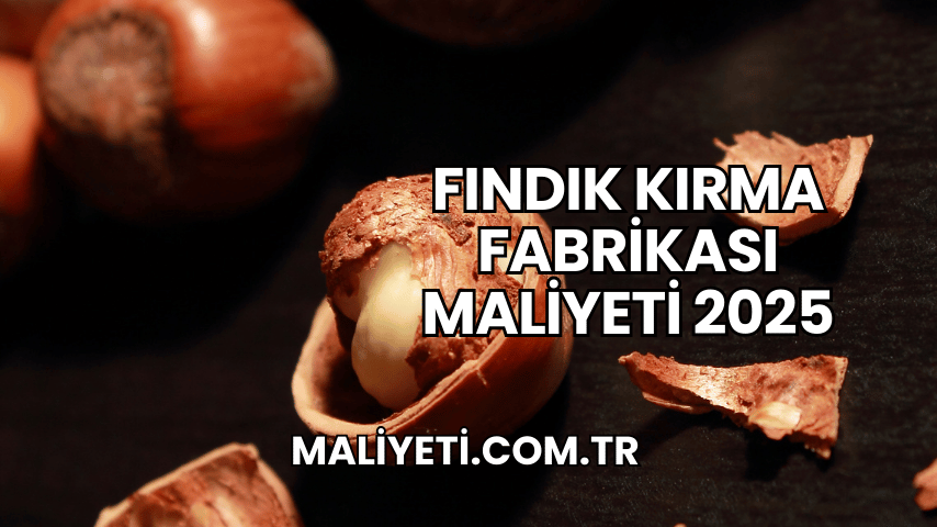 Fındık Kırma Fabrikası Maliyeti 2025