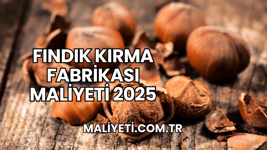 Fındık Kırma Fabrikası Maliyeti 2025