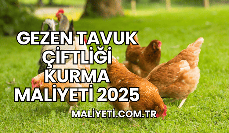 Gezen Tavuk Çiftliği Kurma Maliyeti 2025