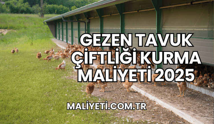 Gezen Tavuk Çiftliği Kurma Maliyeti 2025