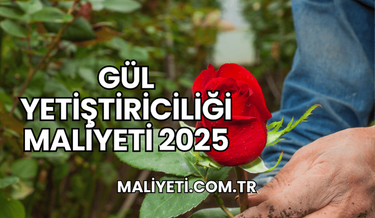 Gül Yetiştiriciliği Maliyeti 2025