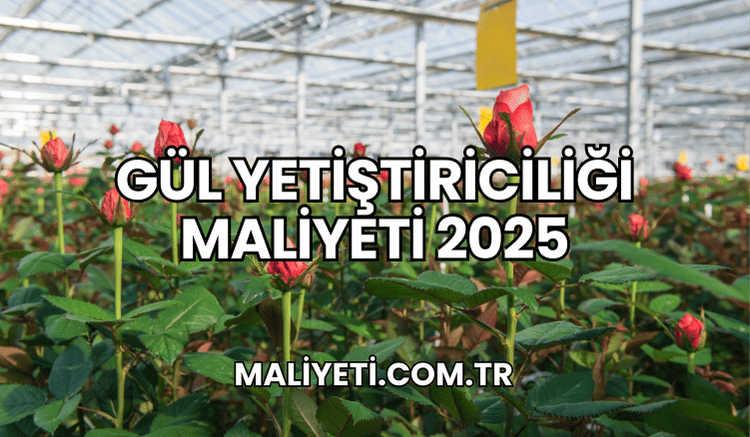 Gül Yetiştiriciliği Maliyeti 2025