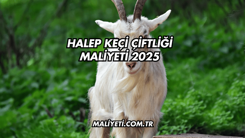 Halep keçi çiftliği maliyeti 2025