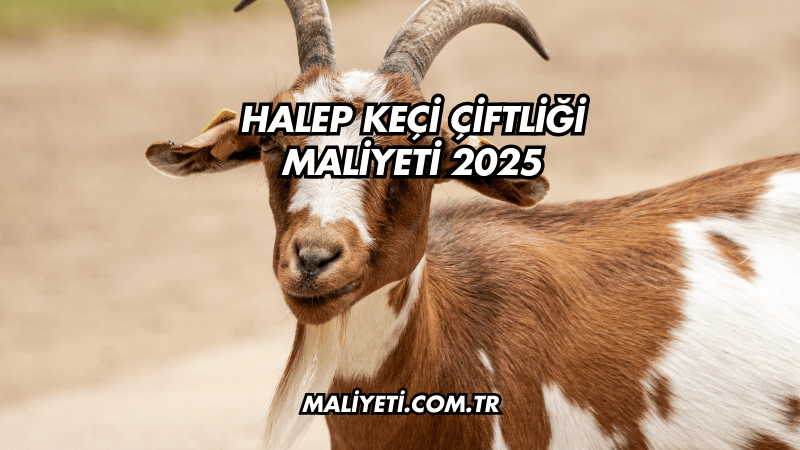 Halep keçi çiftliği maliyeti 2025