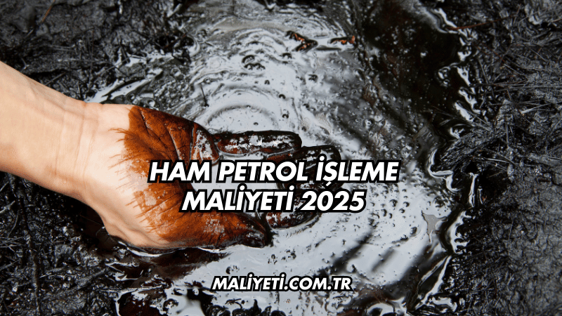 Ham Petrol İşleme Maliyeti 2025