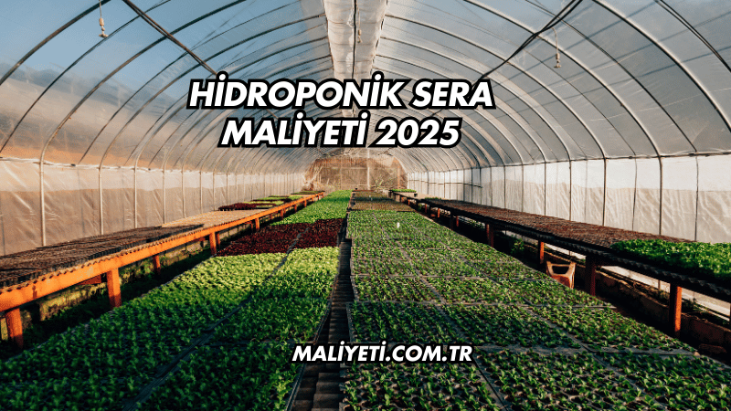 Hidroponik Sera Maliyeti 2025