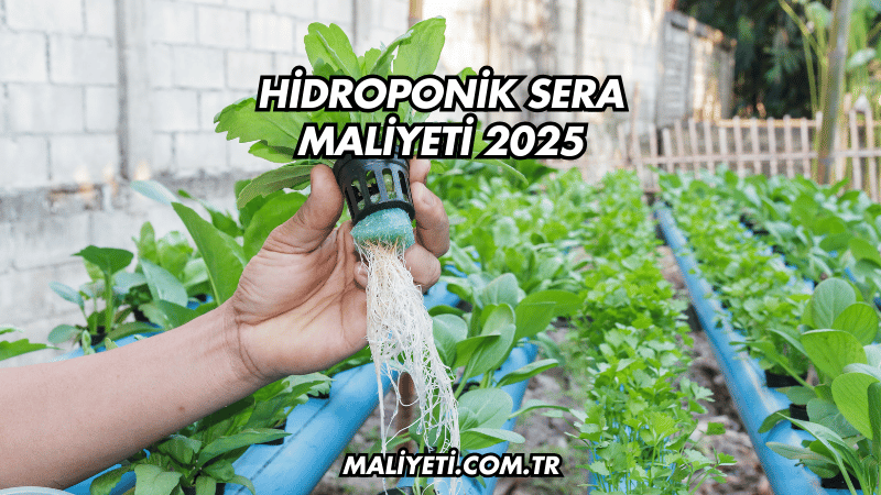 Hidroponik Sera Maliyeti 2025