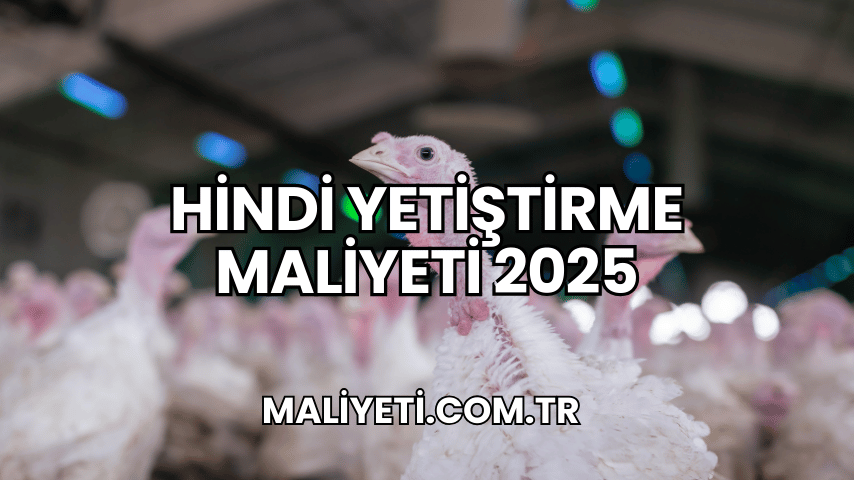 Hindi Yetiştirme Maliyeti 2025