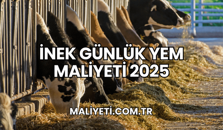 İnek Günlük Yem Maliyeti 2025