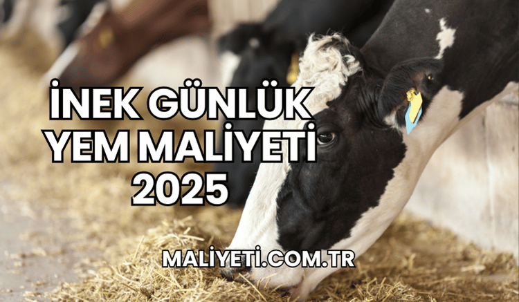 İnek Günlük Yem Maliyeti 2025