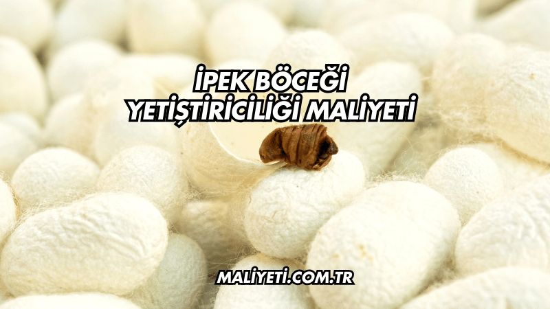 İpek Böceği Yetiştiriciliği Maliyeti