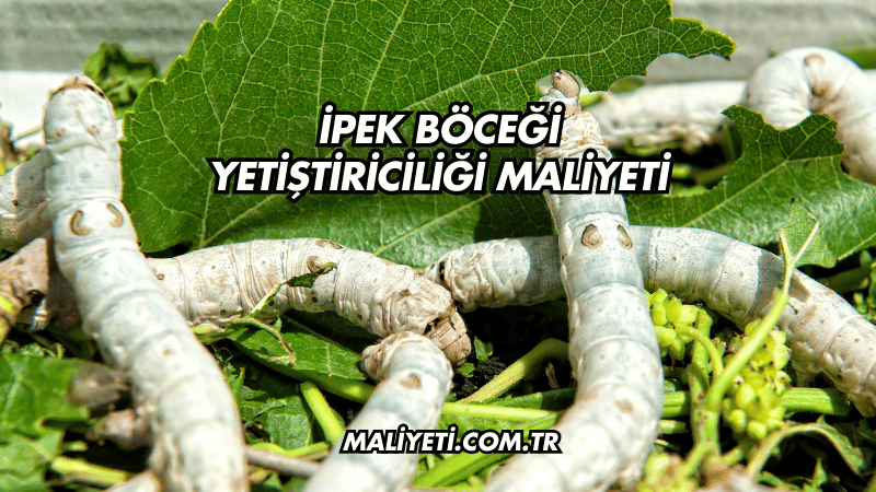 İpek Böceği Yetiştiriciliği Maliyeti