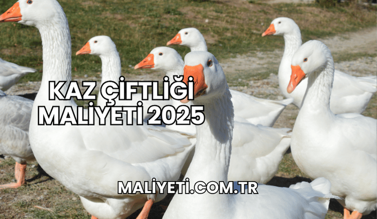 Kaz Çiftliği Maliyeti 2025