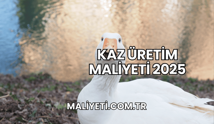 Kaz Üretim Maliyeti 2025