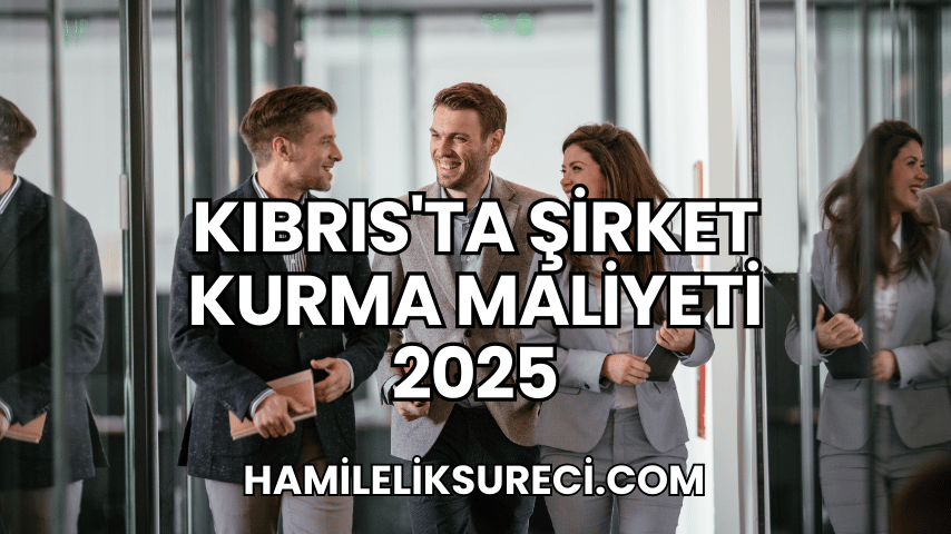 Kıbrıs'ta Şirket Kurma Maliyeti 2025