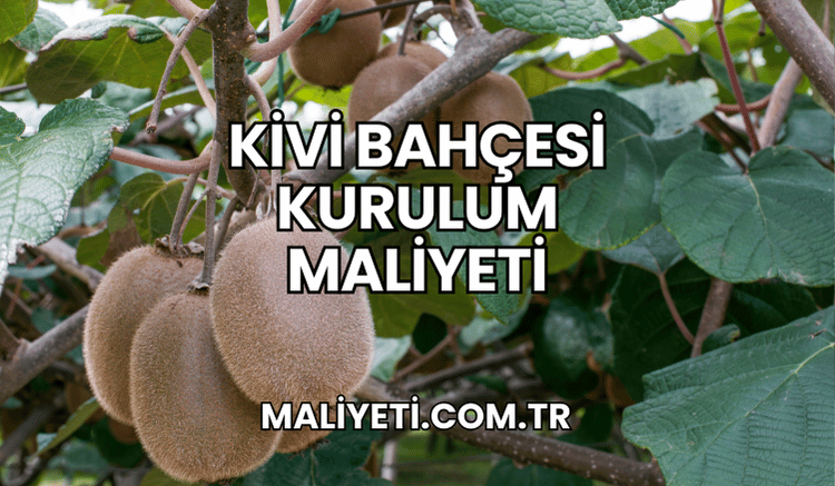 Kivi Bahçesi Kurulum Maliyeti