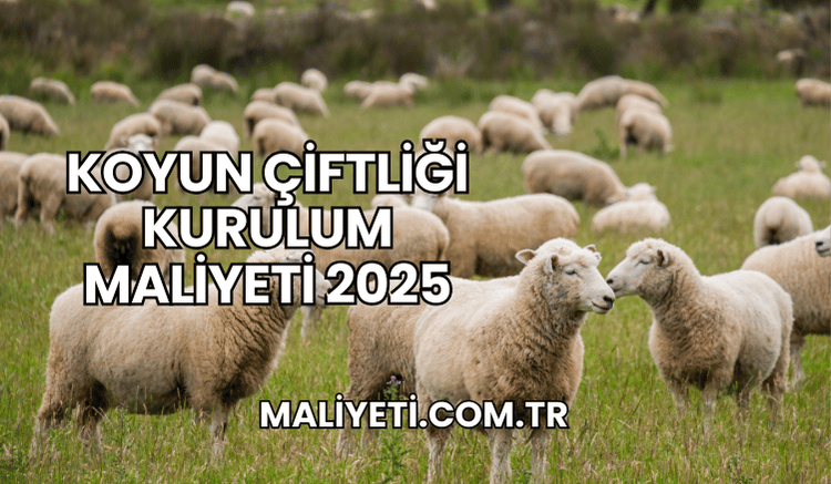 Koyun Çiftliği Kurulum Maliyeti 2025