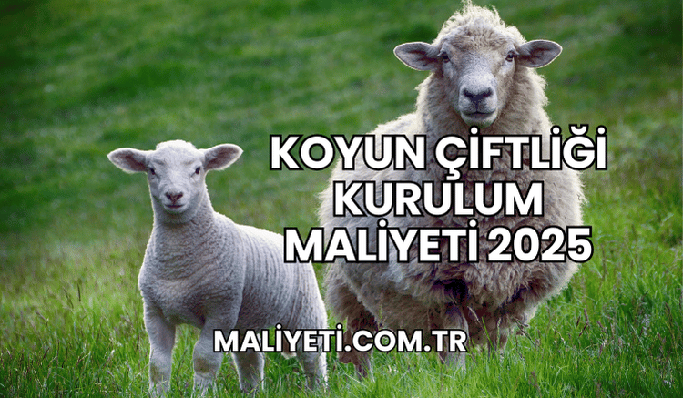 Koyun Çiftliği Kurulum Maliyeti 2025