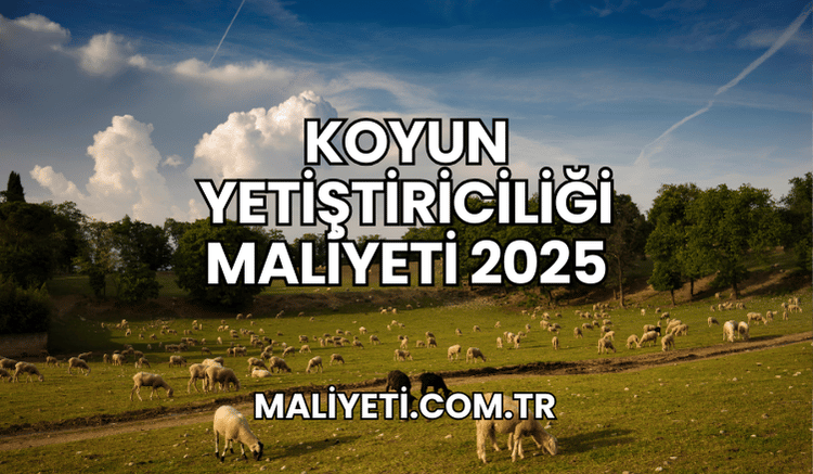 Koyun Yetiştiriciliği Maliyeti 2025