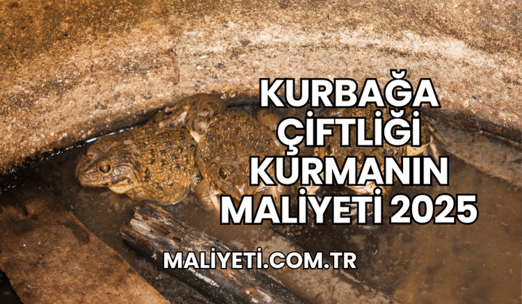 Kurbağa Çiftliği Kurmanın Maliyeti 2025