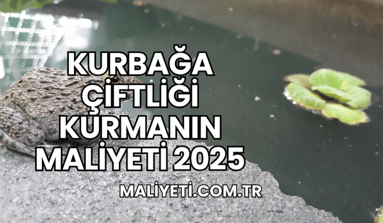 Kurbağa Çiftliği Kurmanın Maliyeti 2025