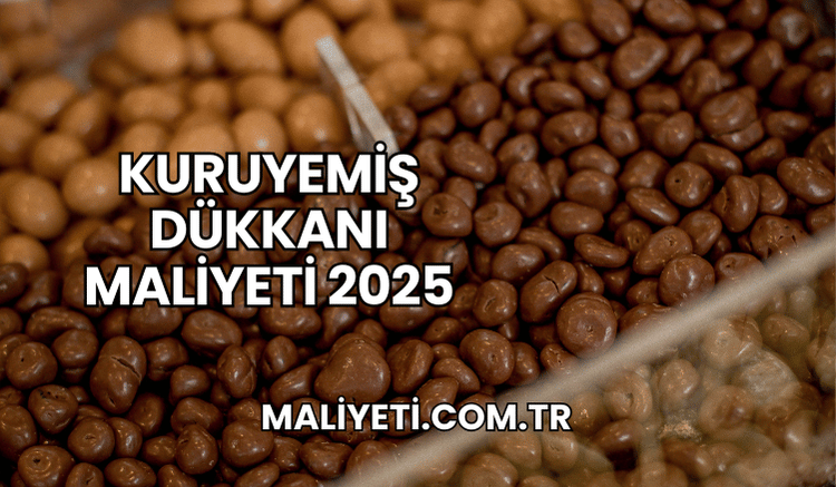 Kuruyemiş Dükkanı Maliyeti 2025