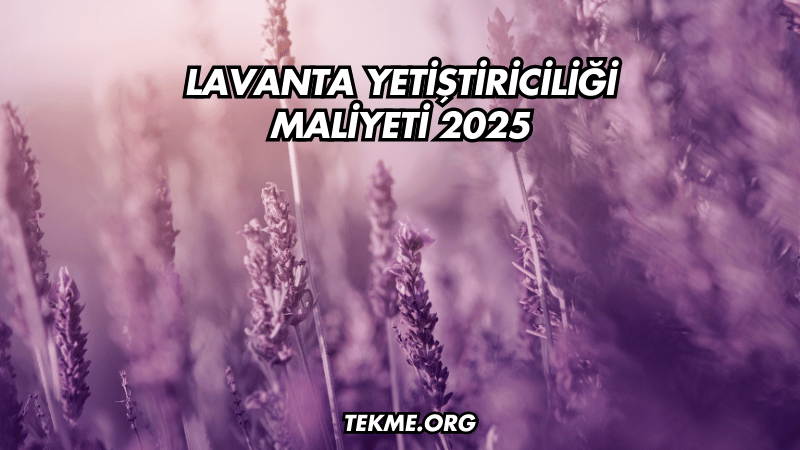 Lavanta Yetiştiriciliği Maliyeti 2025