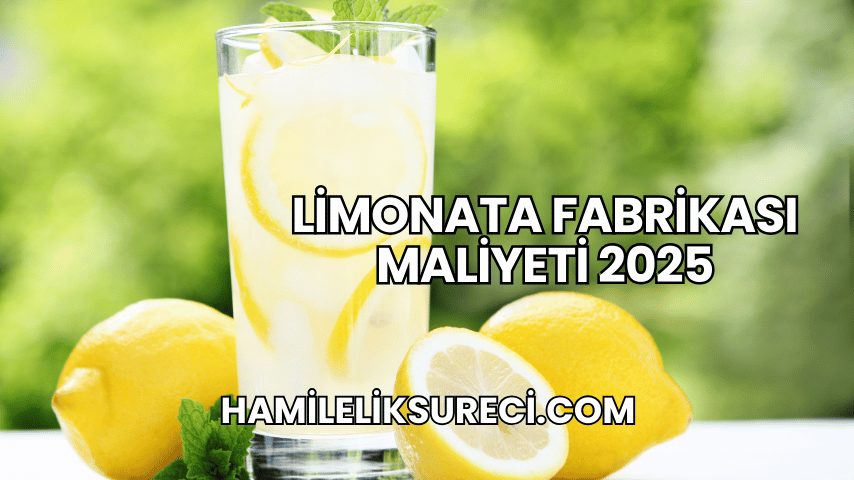 Limonata Fabrikası Maliyeti 2025