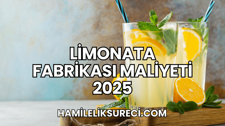 Limonata Fabrikası Maliyeti 2025