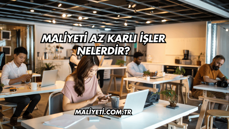 Maliyeti Az Karlı İşler Nelerdir?