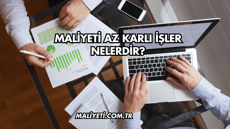 Maliyeti Az Karlı İşler Nelerdir?