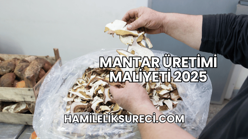 Mantar Üretimi Maliyeti 2025