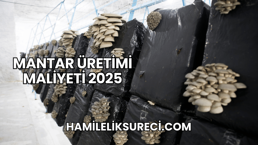 Mantar Üretimi Maliyeti 2025