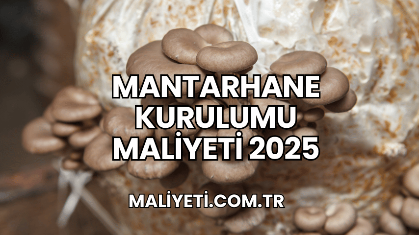 Mantarhane Kurulumu Maliyeti 2025