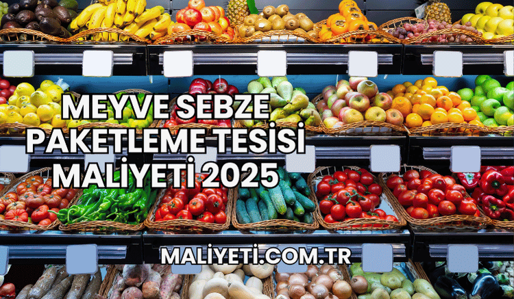 Meyve Sebze Paketleme Tesisi Maliyeti 2025