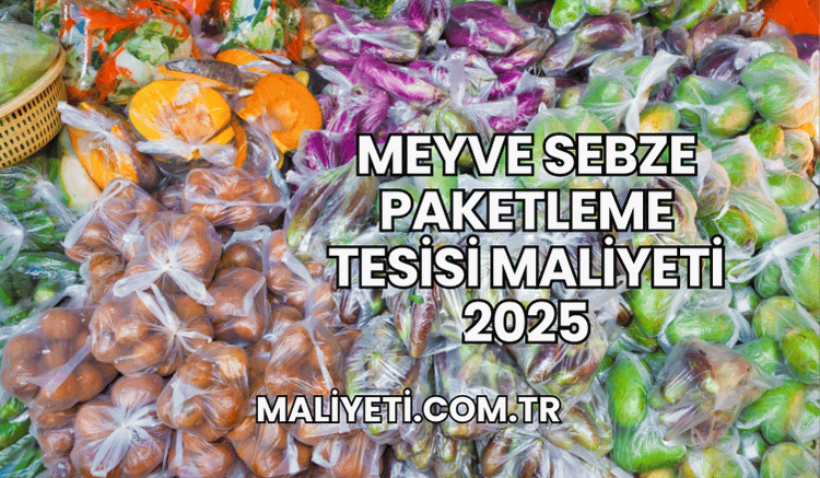 Meyve Sebze Paketleme Tesisi Maliyeti 2025