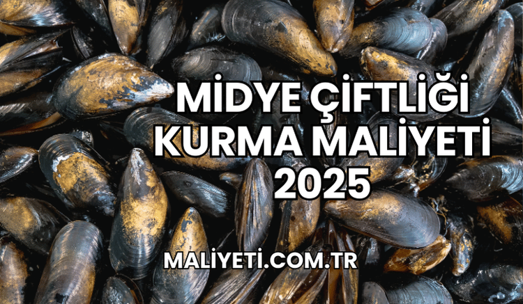 Midye Çiftliği Kurma Maliyeti 2025