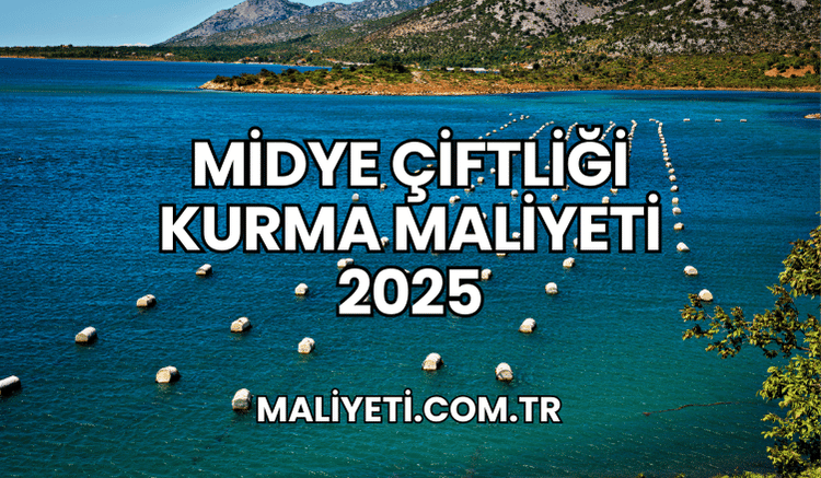 Midye Çiftliği Kurma Maliyeti 2025