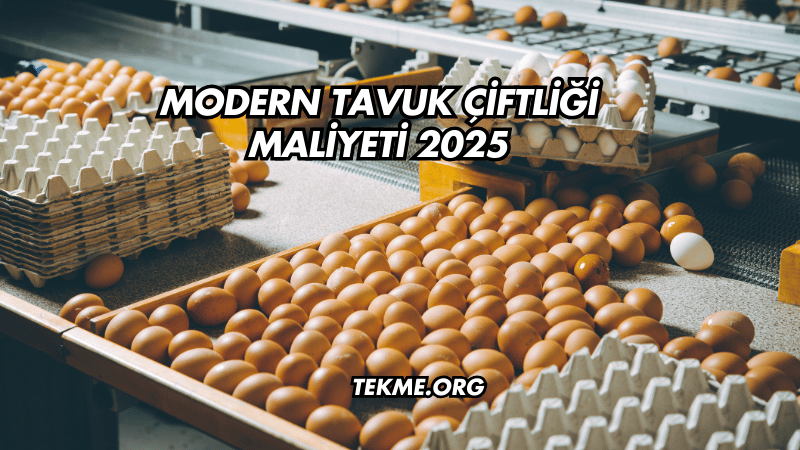 Modern Tavuk Çiftliği Maliyeti 2025