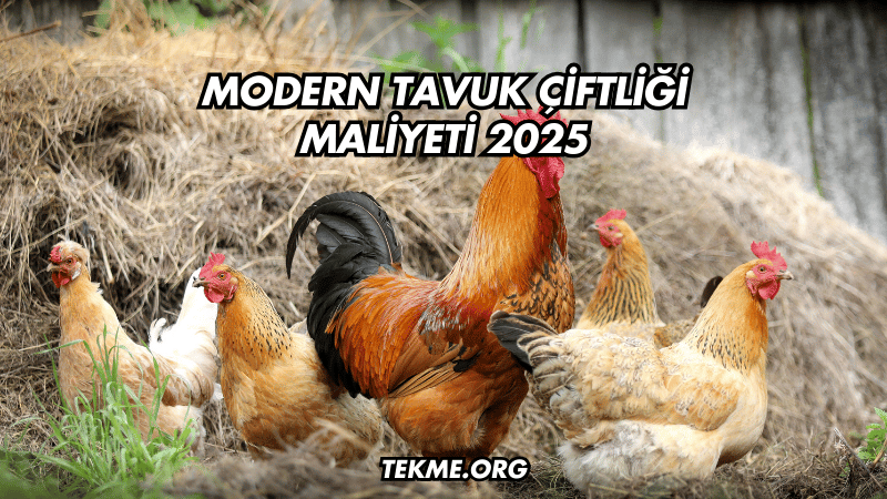 Modern Tavuk Çiftliği Maliyeti 2025