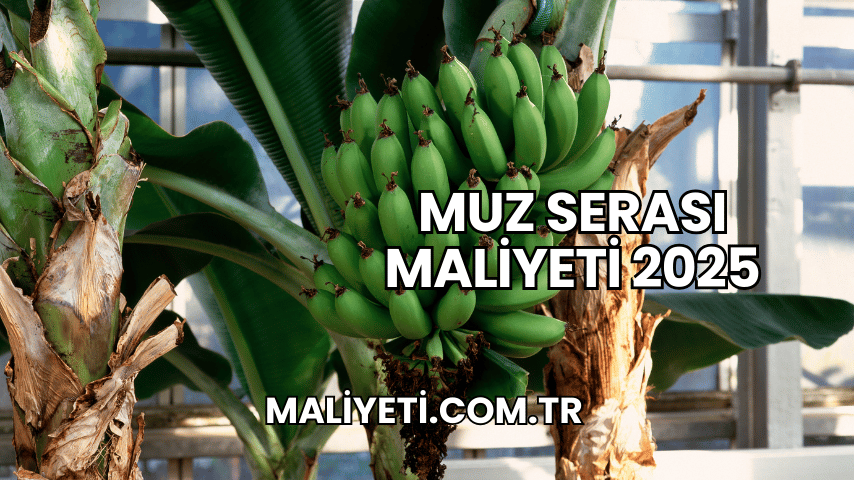 Muz Serası Maliyeti 2025