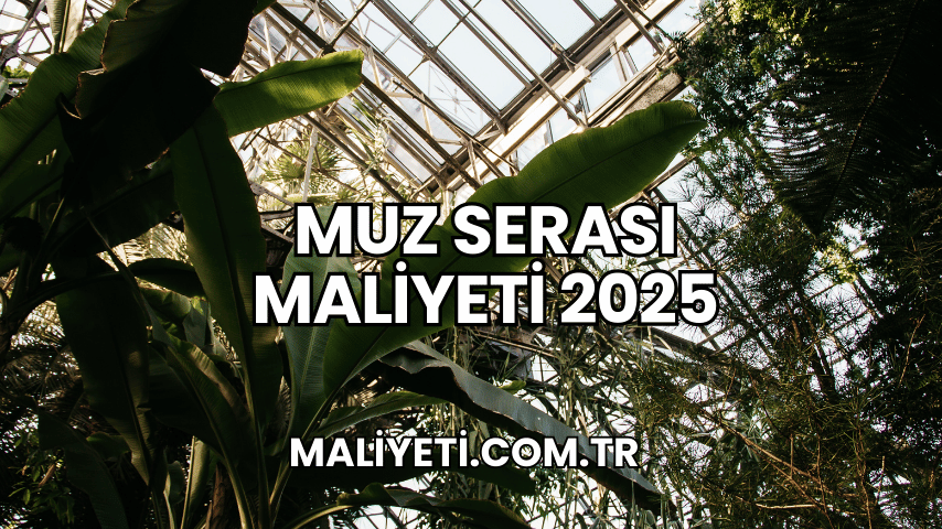 Muz Serası Maliyeti 2025