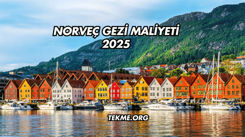 Norveç Gezi Maliyeti 2025